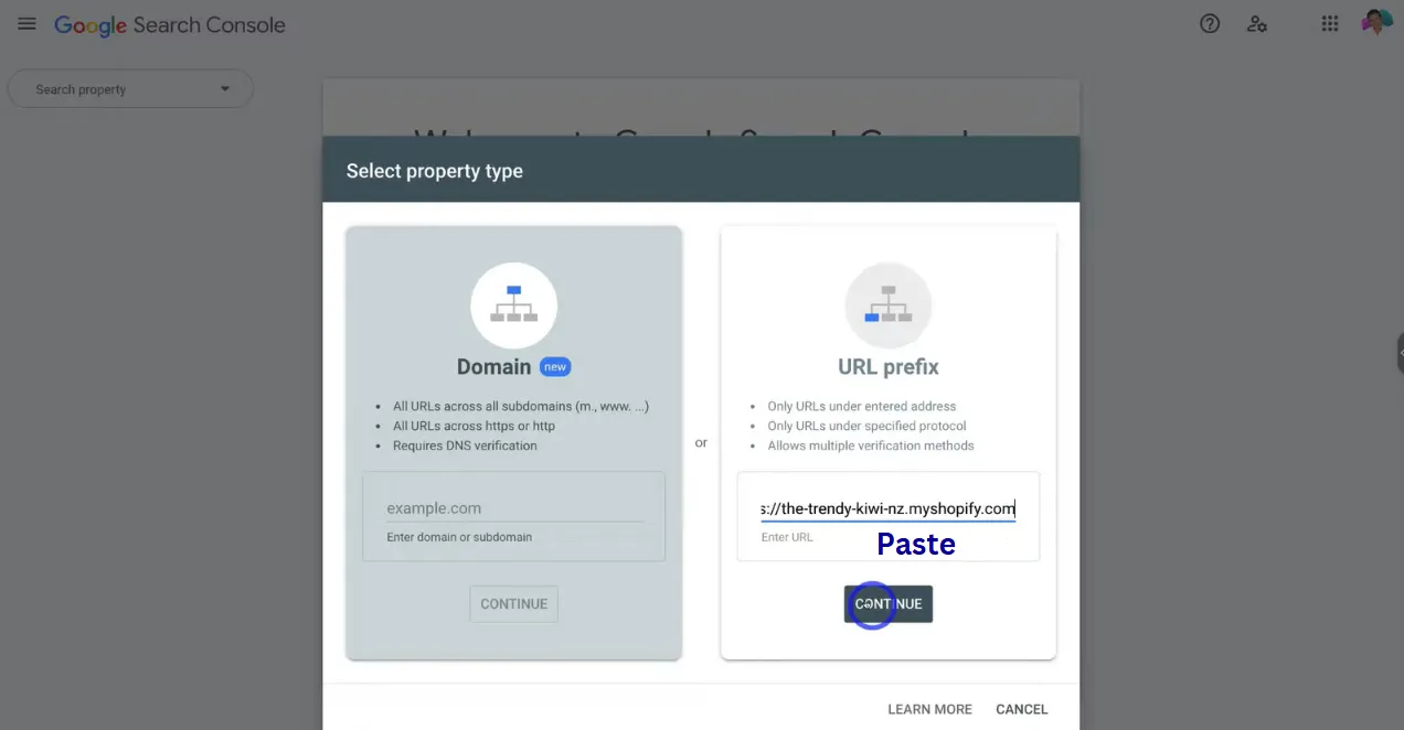 paste the link you just copied and hit Continue.